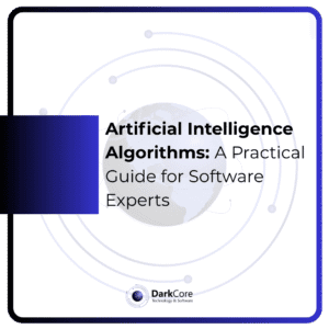 Artificial Intelligence Algorithms- A Practical Guide for Software Experts
